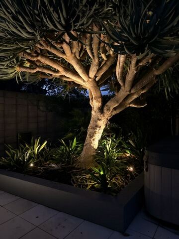 Electrical work by White Cap Electrical, job photo 28